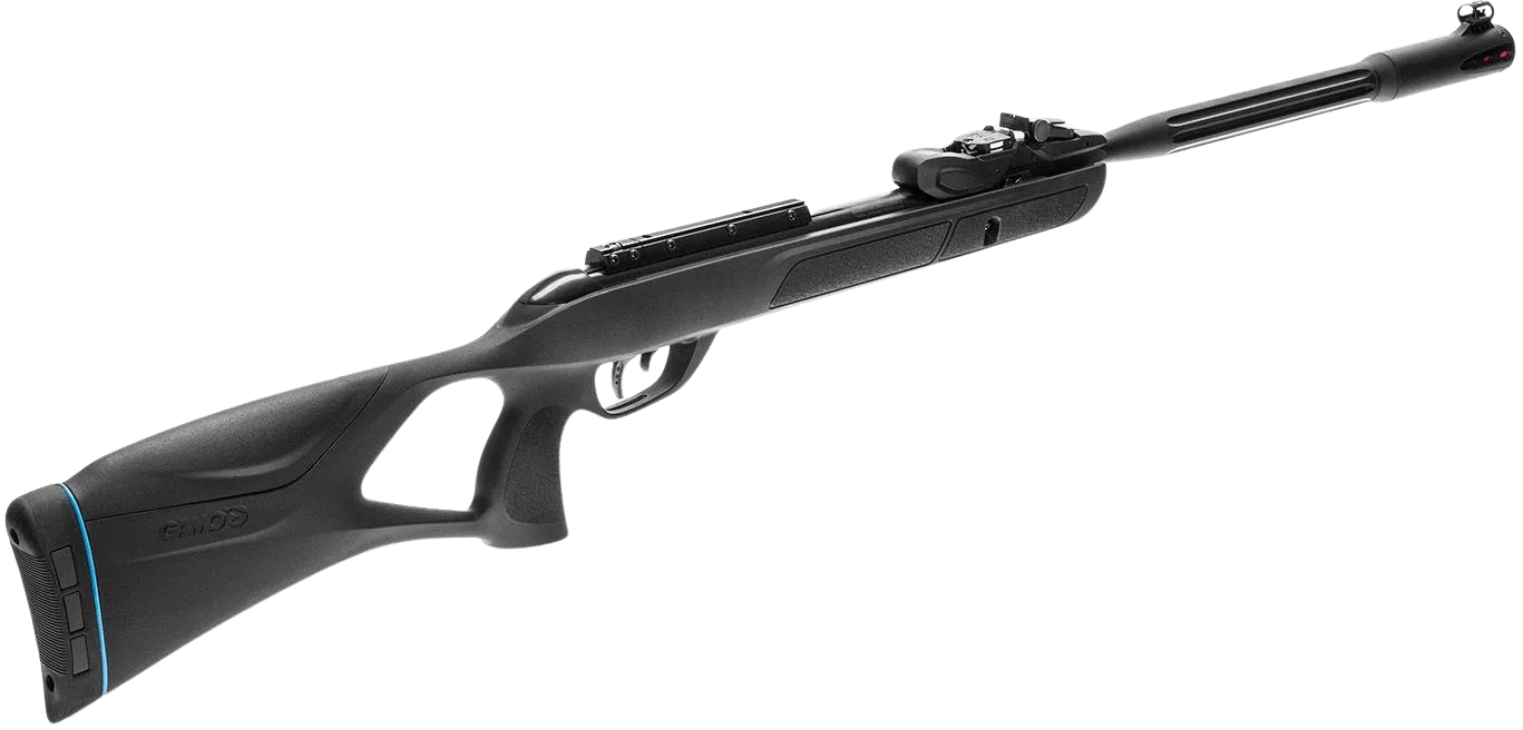 Gamo Roadster IGT 10x,  4,5mm