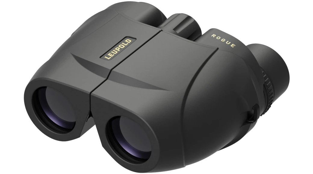 Leupold BX-1 Rogue 10x25m Compact